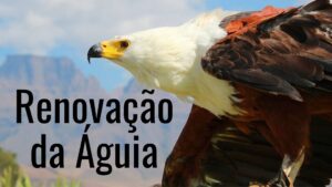 Read more about the article História da Renovação da Águia